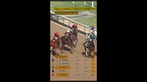 Mystik Dan winning again 🐴👍