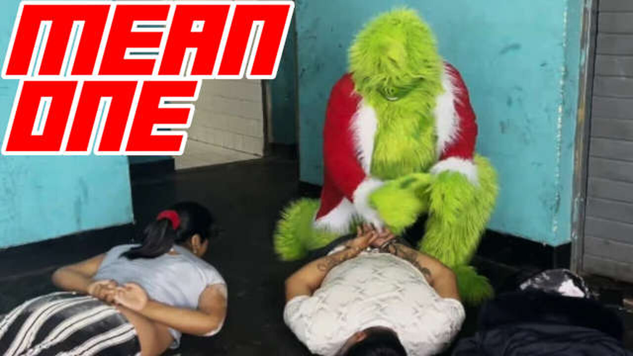 Undercover Police Officer Dressed as the Grinch to Make Drug Bust