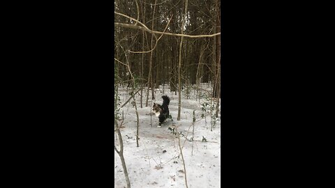 SNOW KiTto!