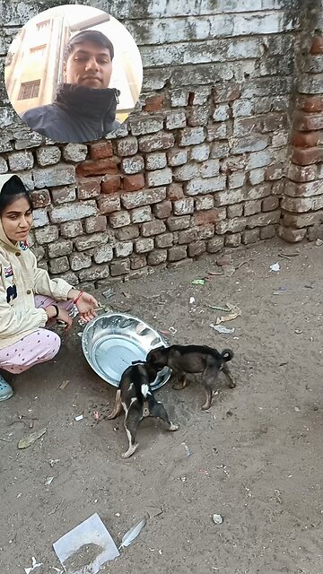 jivdaya mehsana Gujarat