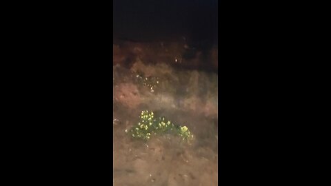 Wednesday morning 10.15. 2