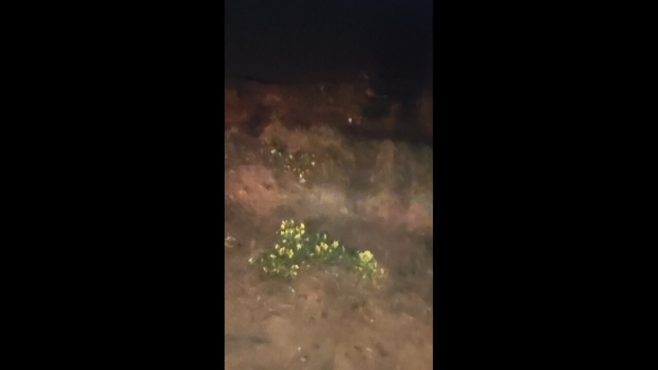 Wednesday morning 10.15. 2