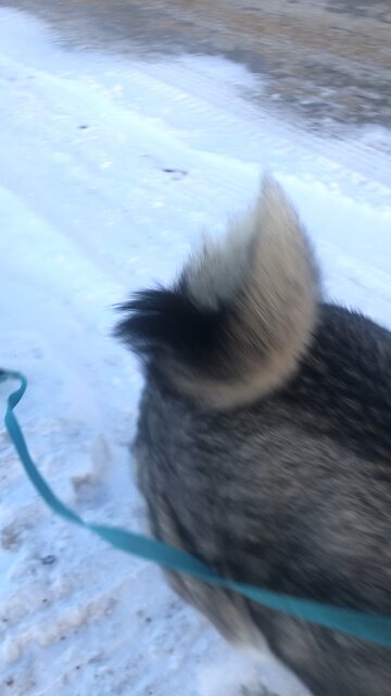 Thursday January 15, A farmer who plants only a few seeds, will get a small crop.