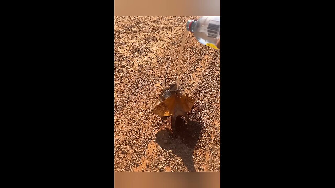 How to Train a Dragon with Water