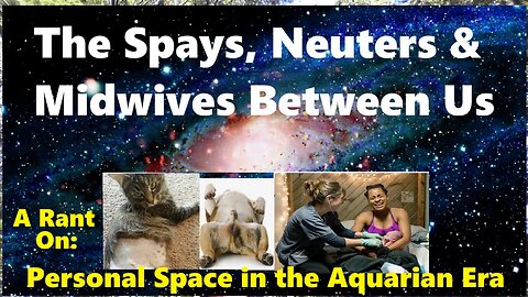 The Spays, Neuters & Midwives Between Us (a Rant on Personal Space and the Aquarian Era)