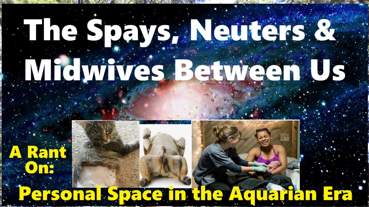 The Spays, Neuters & Midwives Between Us (a Rant on Personal Space and the Aquarian Era)