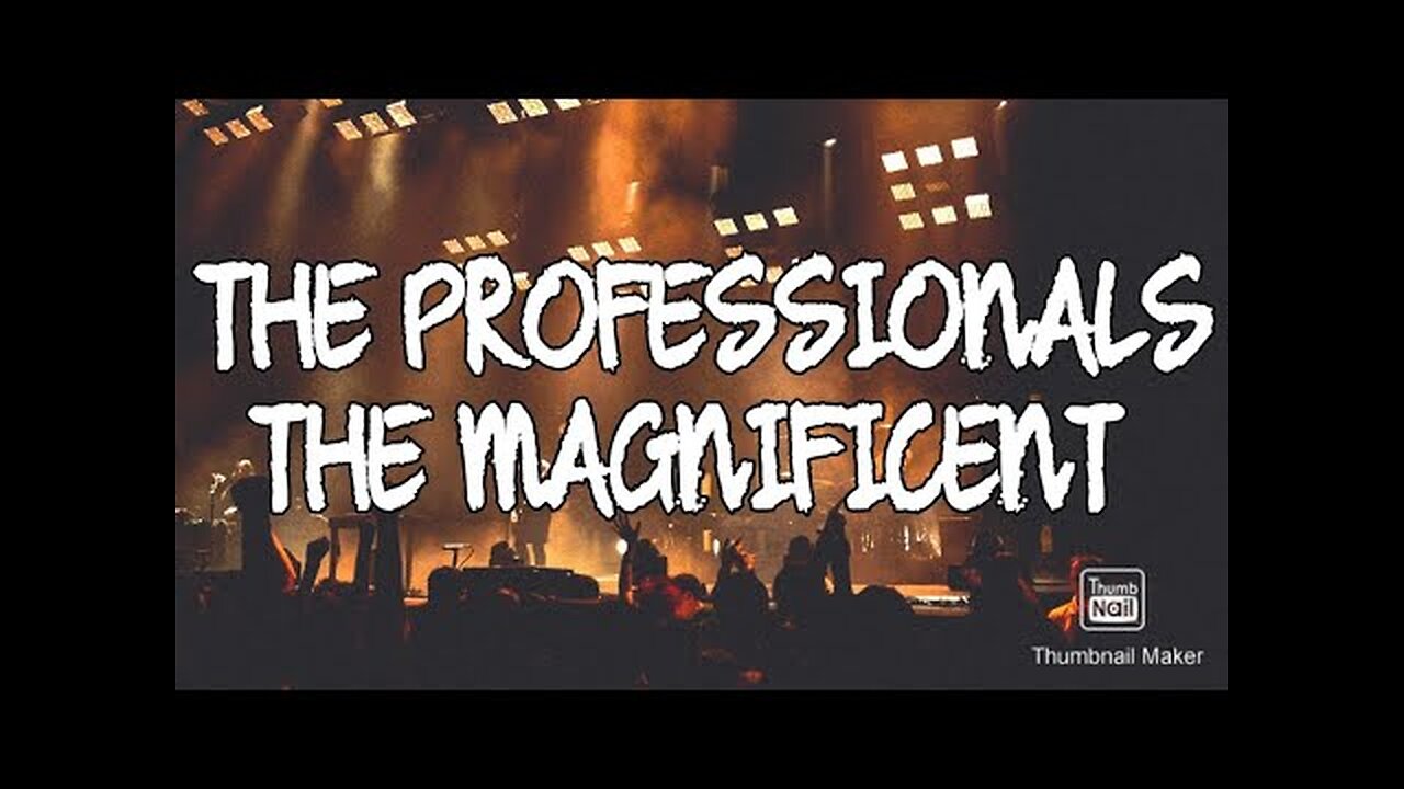 the professionals - the magnificent....