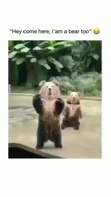 I am bear too