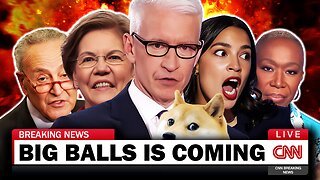 THE BIG BALLS EFFECT - Democrats MELT DOWN Over DOGE & USAID 🔥