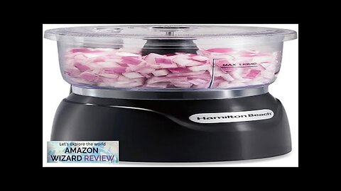 Hamilton Beach Electric Vegetable Chopper & Mini Food Processor 3-Cup 350 Watts Review