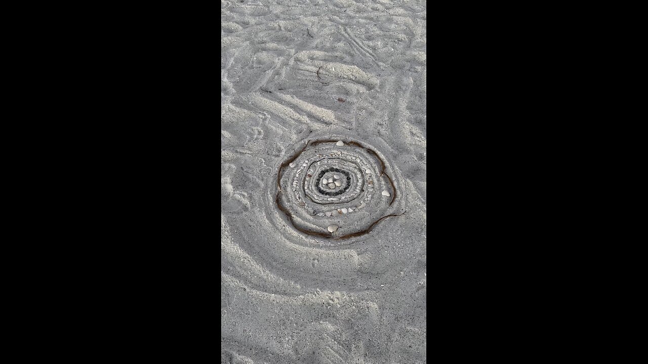 Happy Shellintine’s Day! | 4K