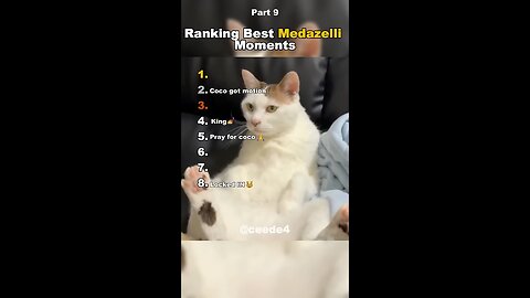 Funniest Medazelli-2🤣