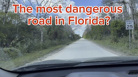 The most dangerous road in Florida? #everglades #ExploreFL #miami #miamithingtodo #park