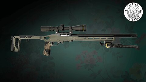 Ruger 10/22 ARTOS Custom | Tactical Solutions / Leupold / Grey Birch MFG