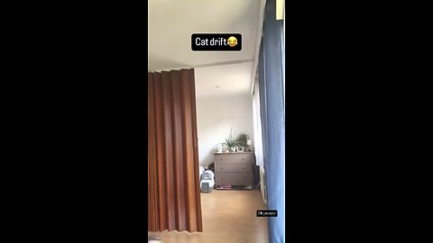 Cat Drift