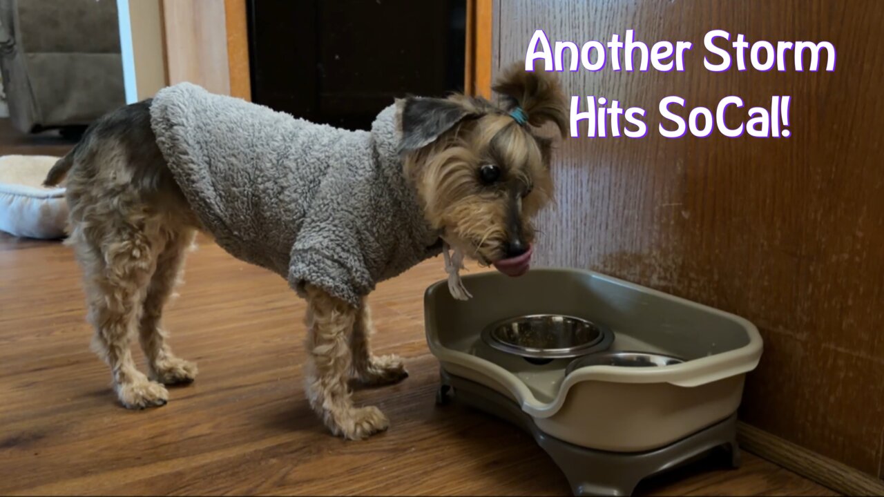 Another Storm Hits SoCal!