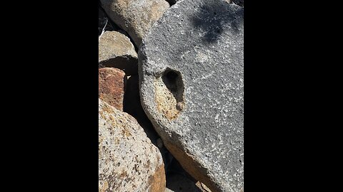 “We lost aunt May. Fortunately, it’s about the rocks.”