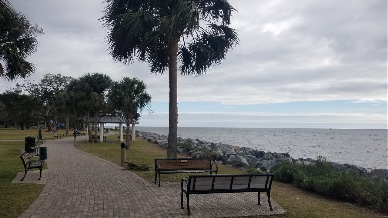 The Lone Dolphin at St. Simon's Island GA