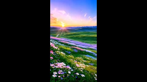 ✨🎶BLOSSOMS AGLOW, A SUNSET SERENADE✨🎶