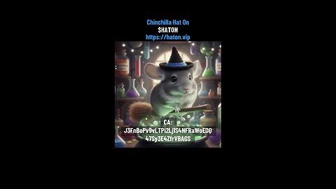 Chinchilla $HATON Hat stays on! Crypto rewards