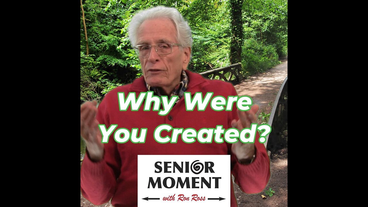 Why You Were Created