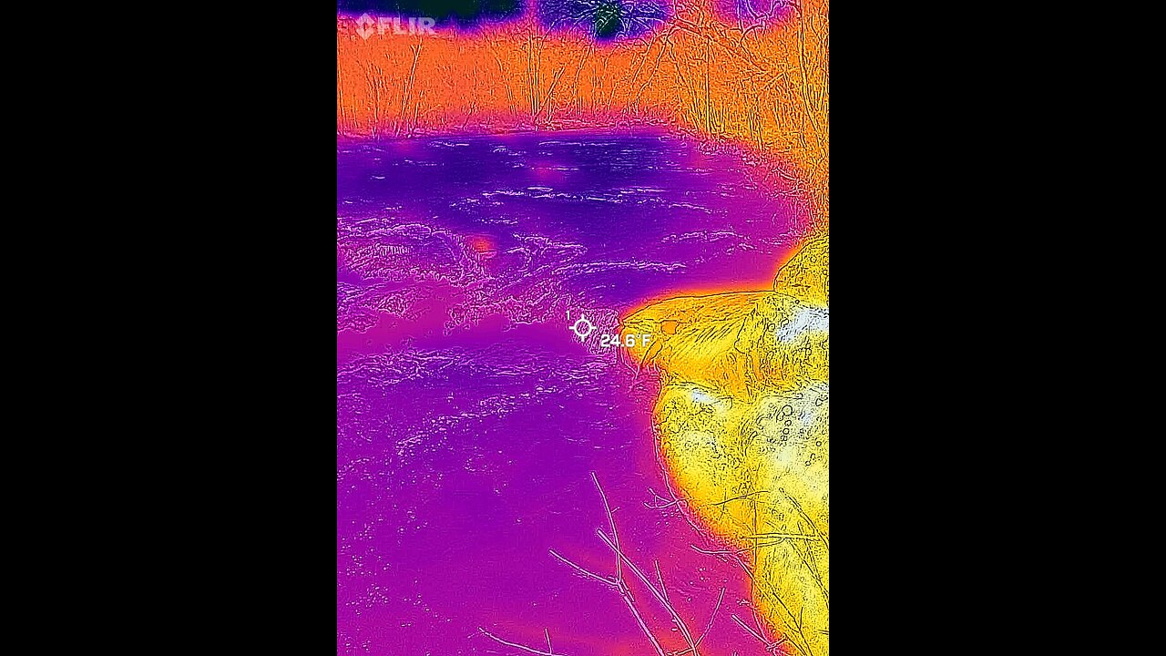 Thermal Image of Mayo River Rapids