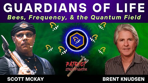 9.25.25 🐝 GUARDIANS OF LIFE: Bees, Frequency & the Quantum Field, How To Help Battle Their DS Planned Extinction