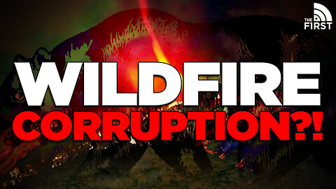 Corruption EXPOSED In California Wildfire Aftermath