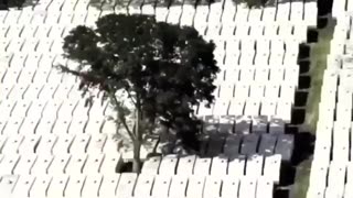 Gee, does any of this sound familiar??