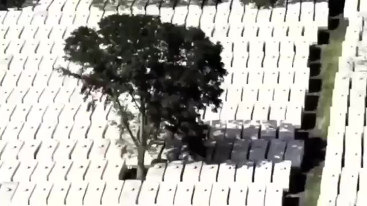 Gee, does any of this sound familiar??