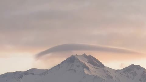 Daily Horoscope | Capricorn 🌟