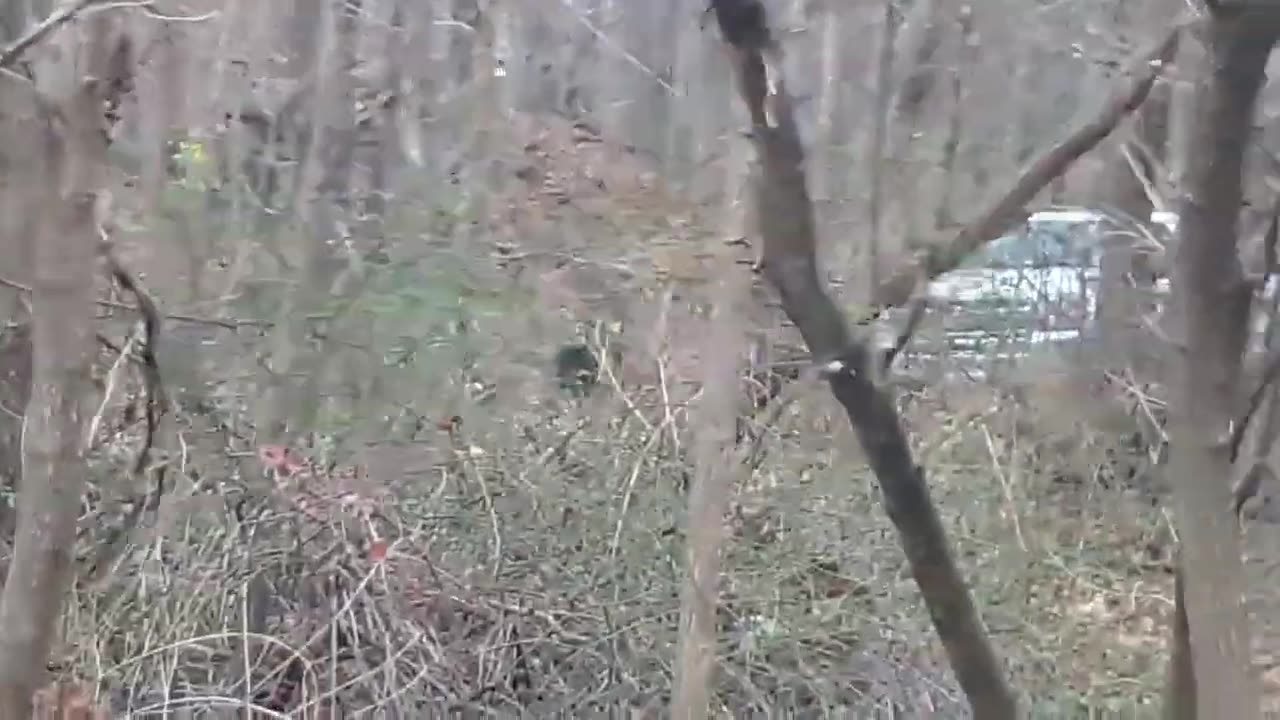 TARGETED PEOPLE WHERE U AT