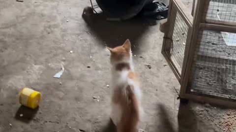 Unbelievable Moments You Can’t Stop Watching