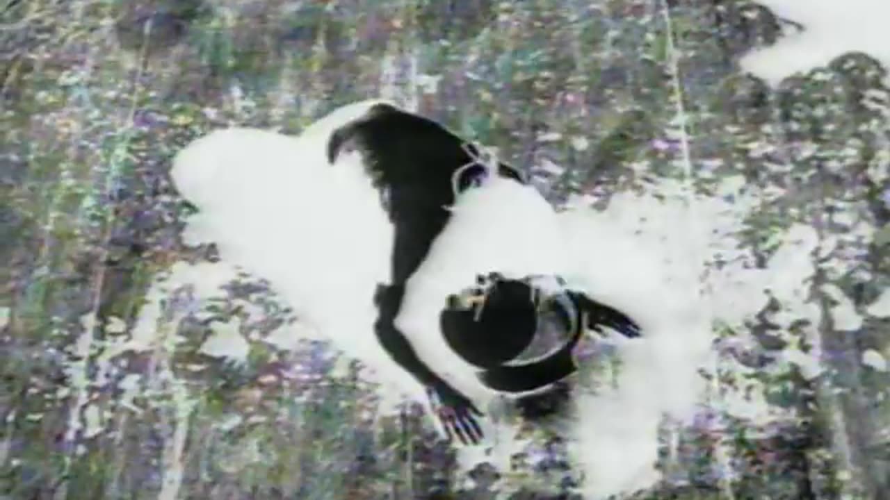 Nine Inch Nails Head Like A Hole (1990)