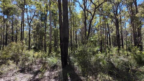 Munday Brook Trail Karragullen Western Australia