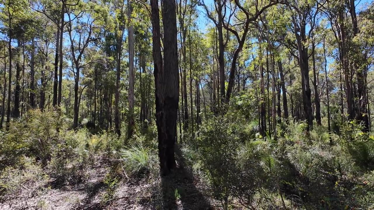 Munday Brook Trail Karragullen Western Australia