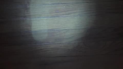 🤫👁️ They Thought They Were Alone... But Something Watched | Paranormal Encounter | TheHauntingHour