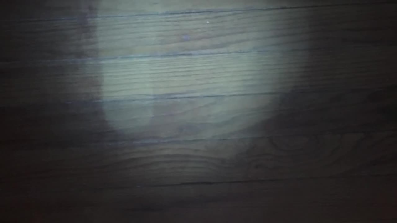 🤫👁️ They Thought They Were Alone... But Something Watched | Paranormal Encounter | TheHauntingHour