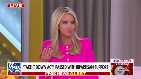 McEnany: I was STUNNED by this