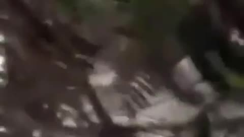 Facebook live accident on car-Yr2vR2Gxda8.mp4