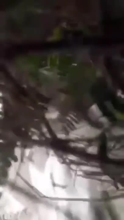 Facebook live accident on car-Yr2vR2Gxda8.mp4