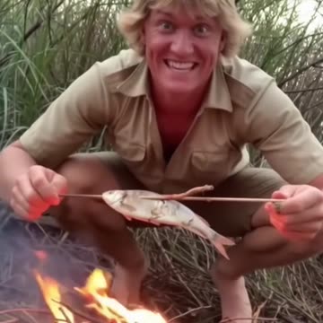 Steve Irwin Catching a Snack - Sora 2