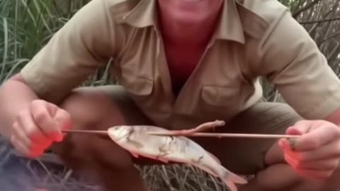 Steve Irwin Catching a Snack - Sora 2