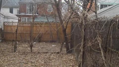 Doing a qoute for Jackie in California,, thesheashow.com