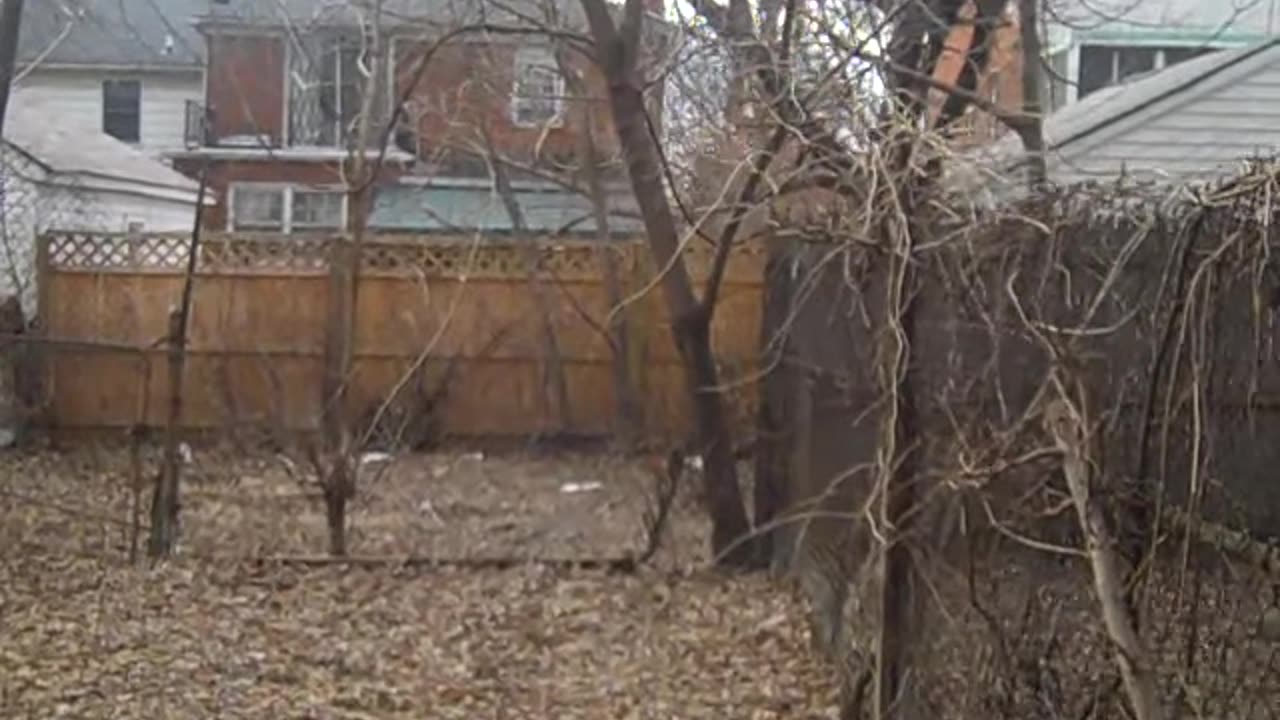 Doing a qoute for Jackie in California,, thesheashow.com