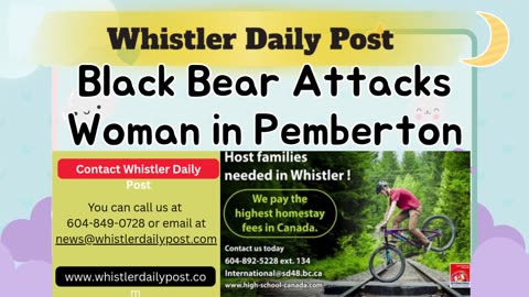 Black Bear Attacks Woman in Pemberton – www.whistlerdailypost.com