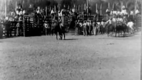 CATTLE RANCH,A - CATTLE RANCH,A - fc-fc-313