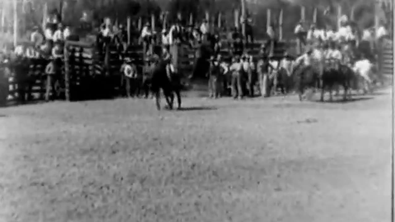 CATTLE RANCH,A - CATTLE RANCH,A - fc-fc-313