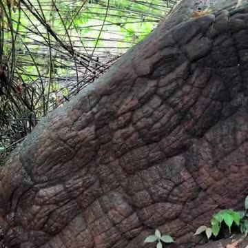 MANY WILL CALL THIS A NATURAL ROCK FORMATION. LET'S KEEP DECEIVING OURSELVES...