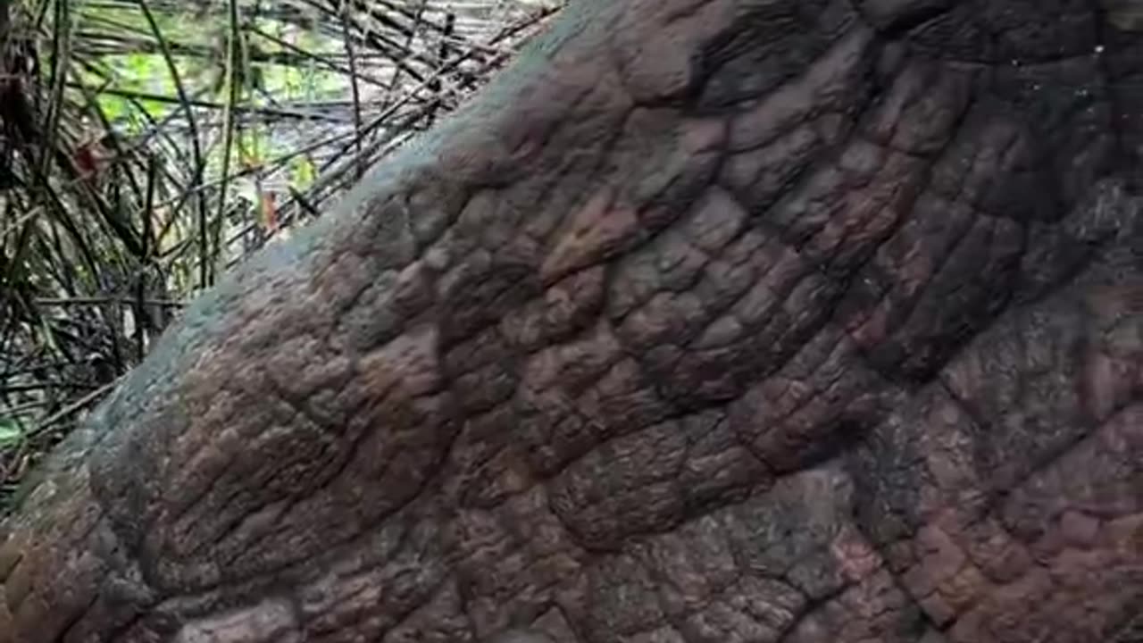 MANY WILL CALL THIS A NATURAL ROCK FORMATION. LET'S KEEP DECEIVING OURSELVES...